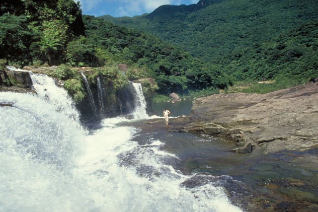 浦内川の画像