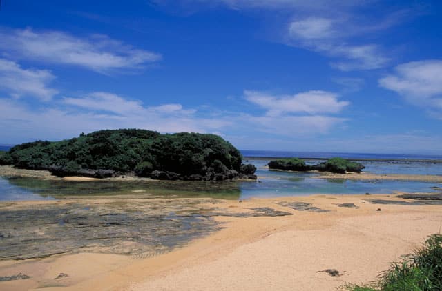 西表島の画像