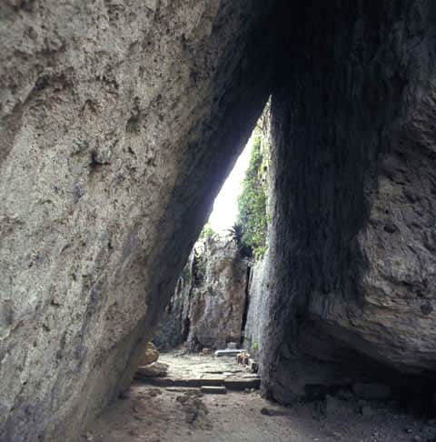 斎場御岳の画像