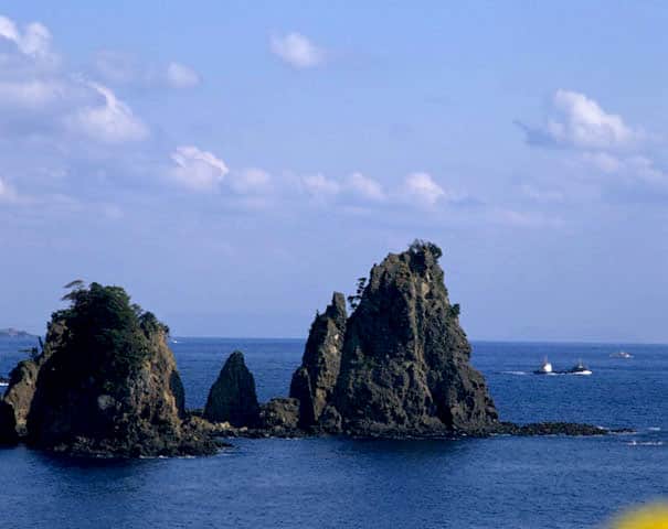 石廊崎の画像