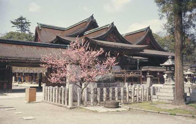 北野天満宮の画像