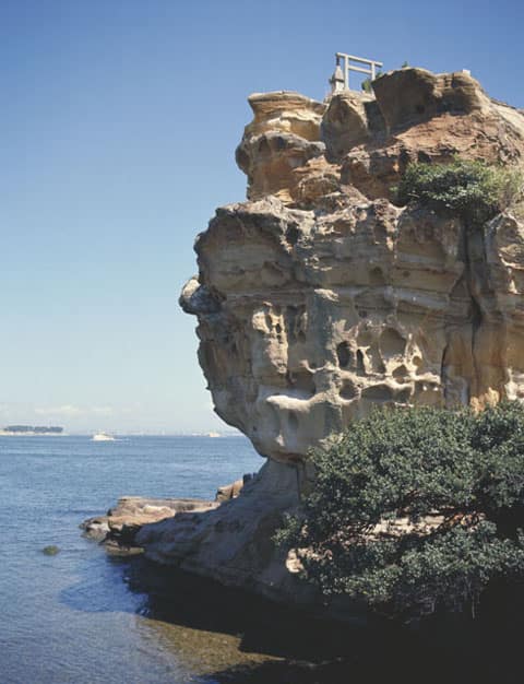 絵島の画像