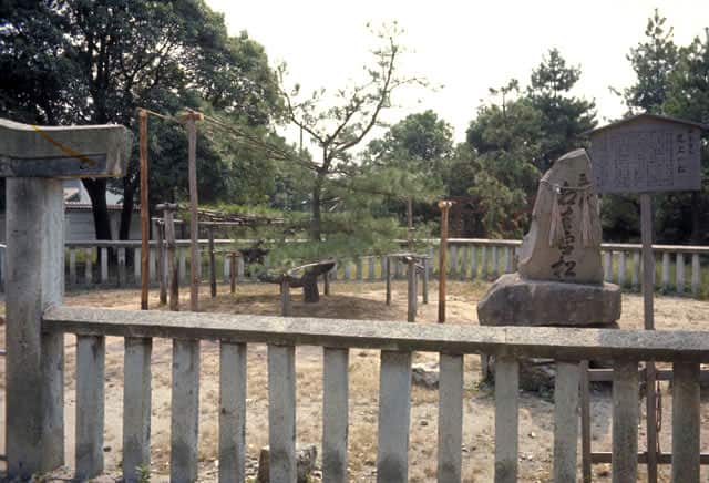 尾上の画像