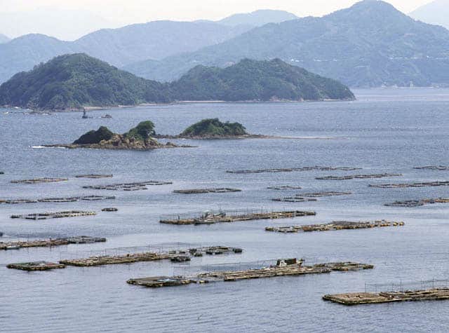 宇和海の画像