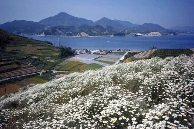 因島の画像