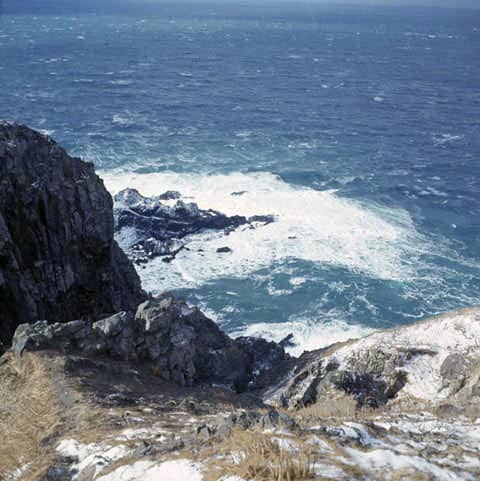 竜飛崎の画像