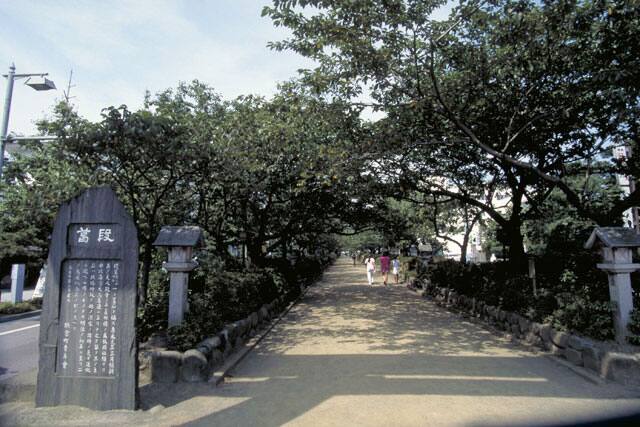 段葛の画像