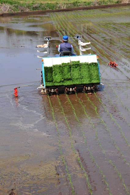 田植え機の画像