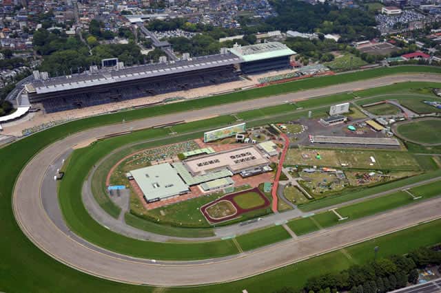 競馬場の画像