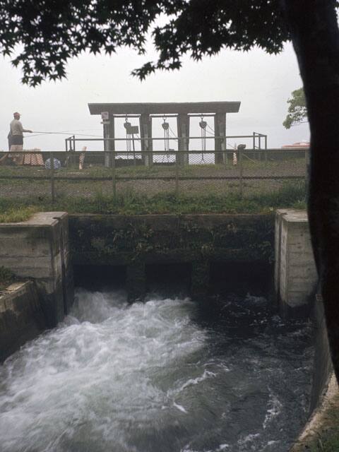 箱根用水の画像
