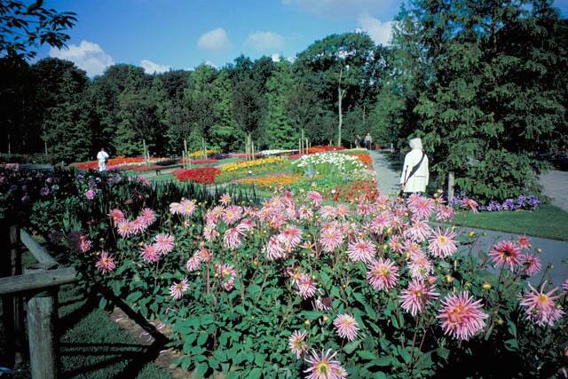 キューケンホフ公園の画像