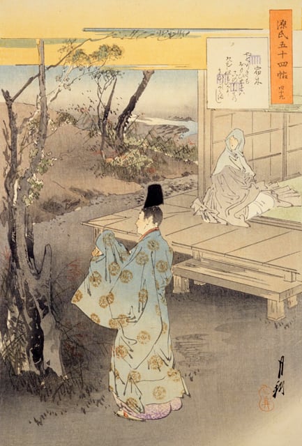 宿木／寄生木の画像