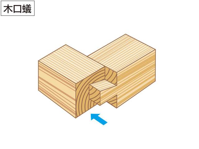 木口蟻の画像