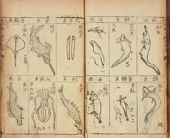 本草綱目の画像