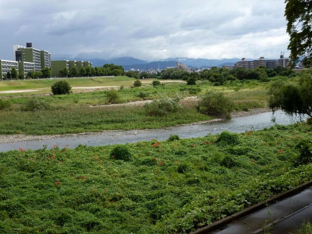 桂川の画像