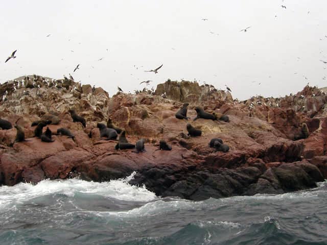 バジェスタス島の画像