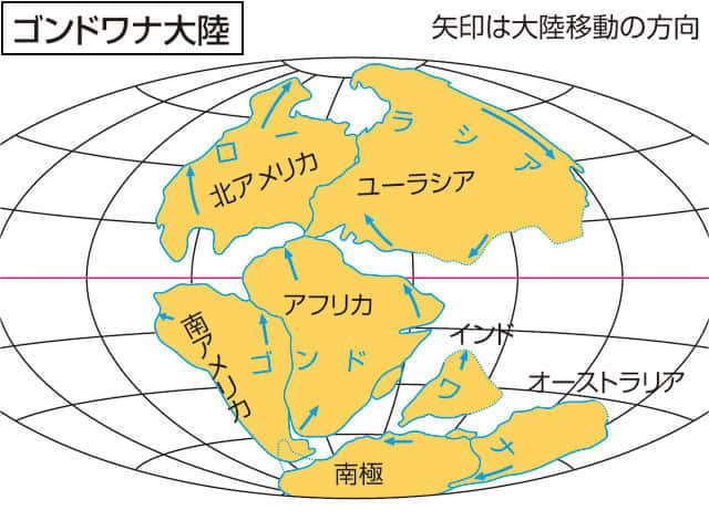 ゴンドワナ大陸の画像