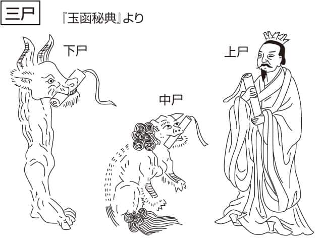 三尸の画像