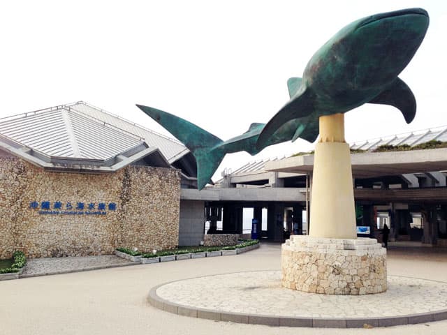沖縄美ら海水族館の画像