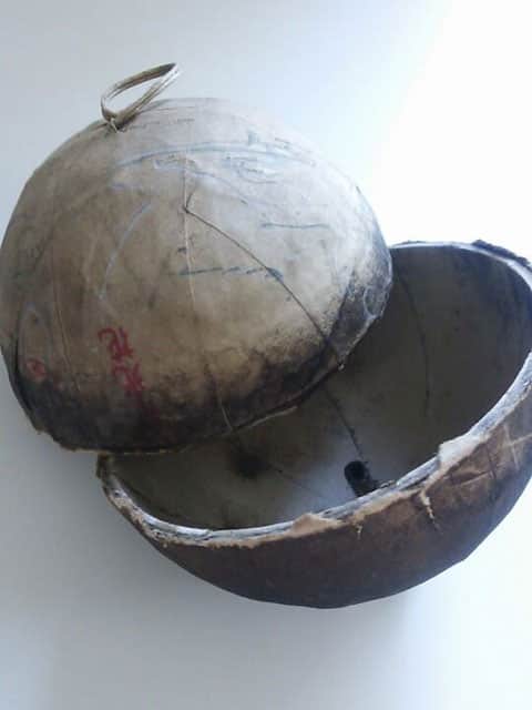 玉皮の画像
