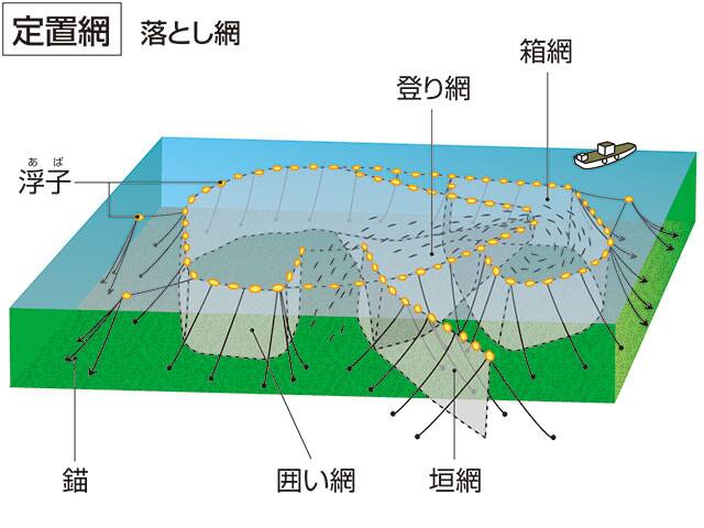 定置網の画像