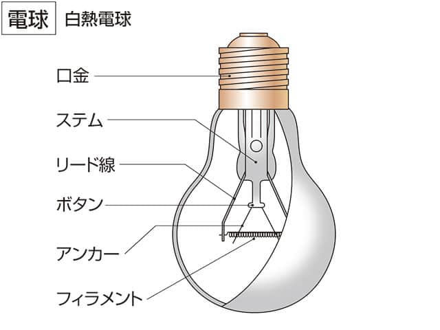 フィラメントの画像