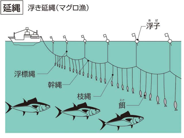 網端／浮子の画像