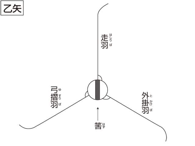 乙矢の画像
