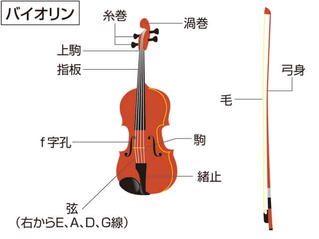 バイオリンの画像