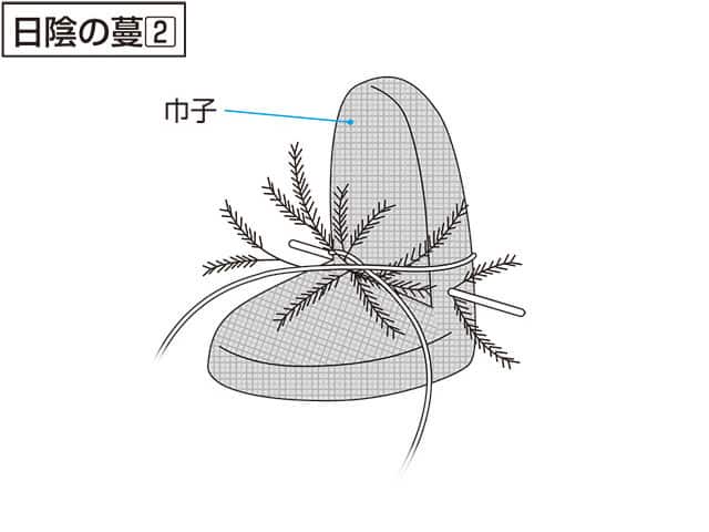 日陰の蔓／日陰の鬘の画像