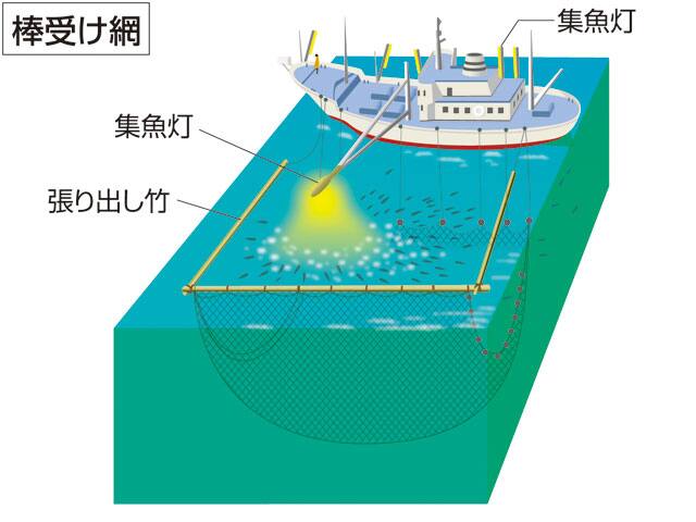 棒受け網の画像