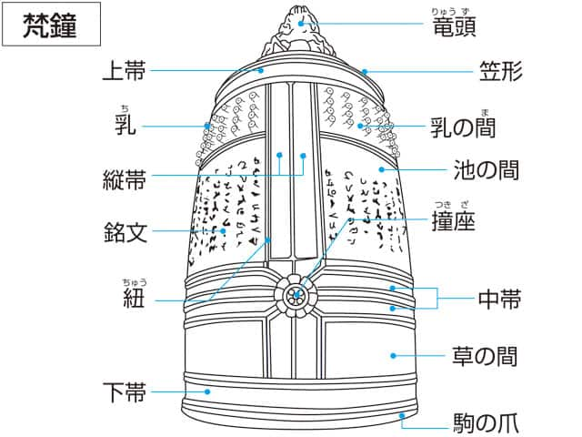 紐の画像