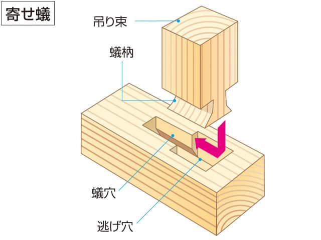 蟻枘の画像
