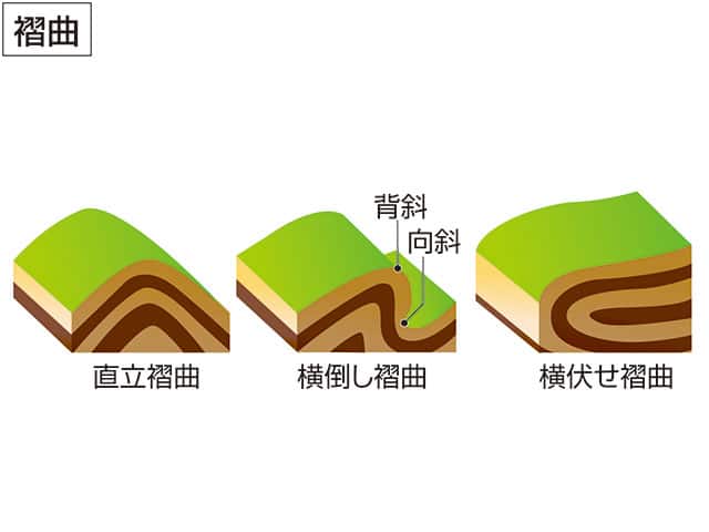 褶曲／皺曲の画像