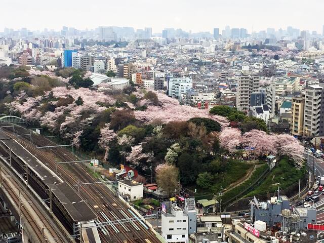 飛鳥山公園の画像