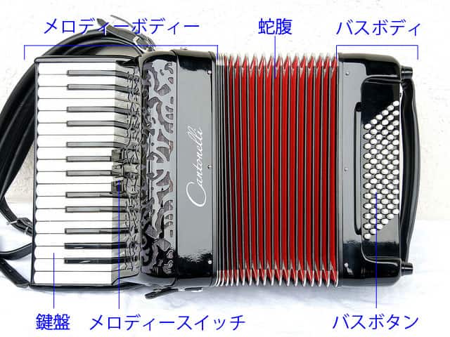 アコーディオンの画像