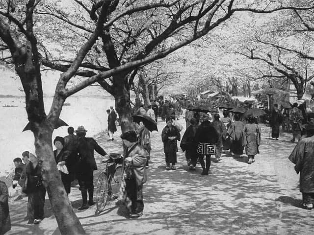 墨堤の画像