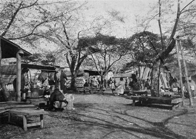 飛鳥山公園の画像
