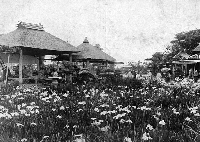 堀切菖蒲園の画像