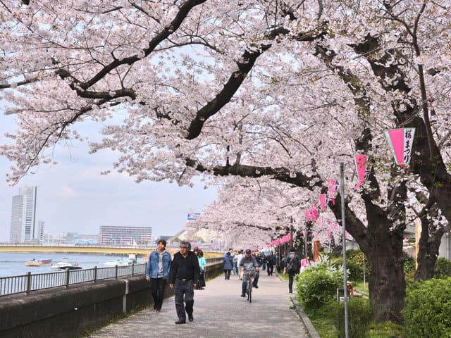 墨堤の画像