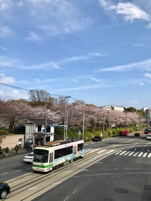 飛鳥山公園の画像