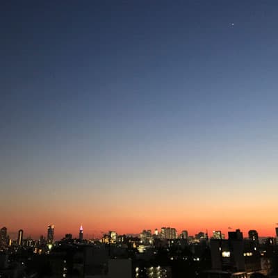 宵の明星の画像