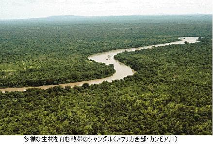 地球生きもの委員会