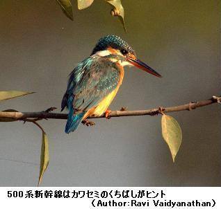 生態模倣技術