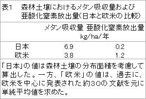 森林土壌の温室効果ガス吸収効果