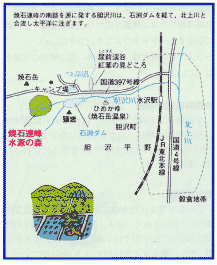 焼石連峰水源の森