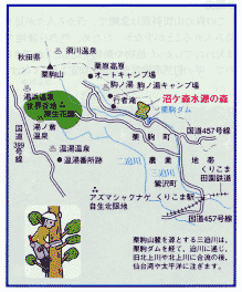 沼ヶ森水源の森