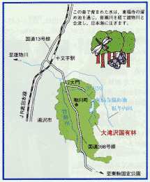 大滝沢国有林