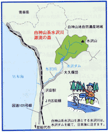 白神山系水沢川源流の森