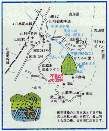 不動沢水源林